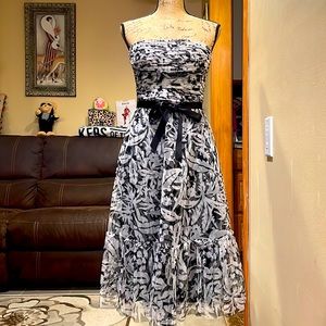 BCBG mesh layered tube dress